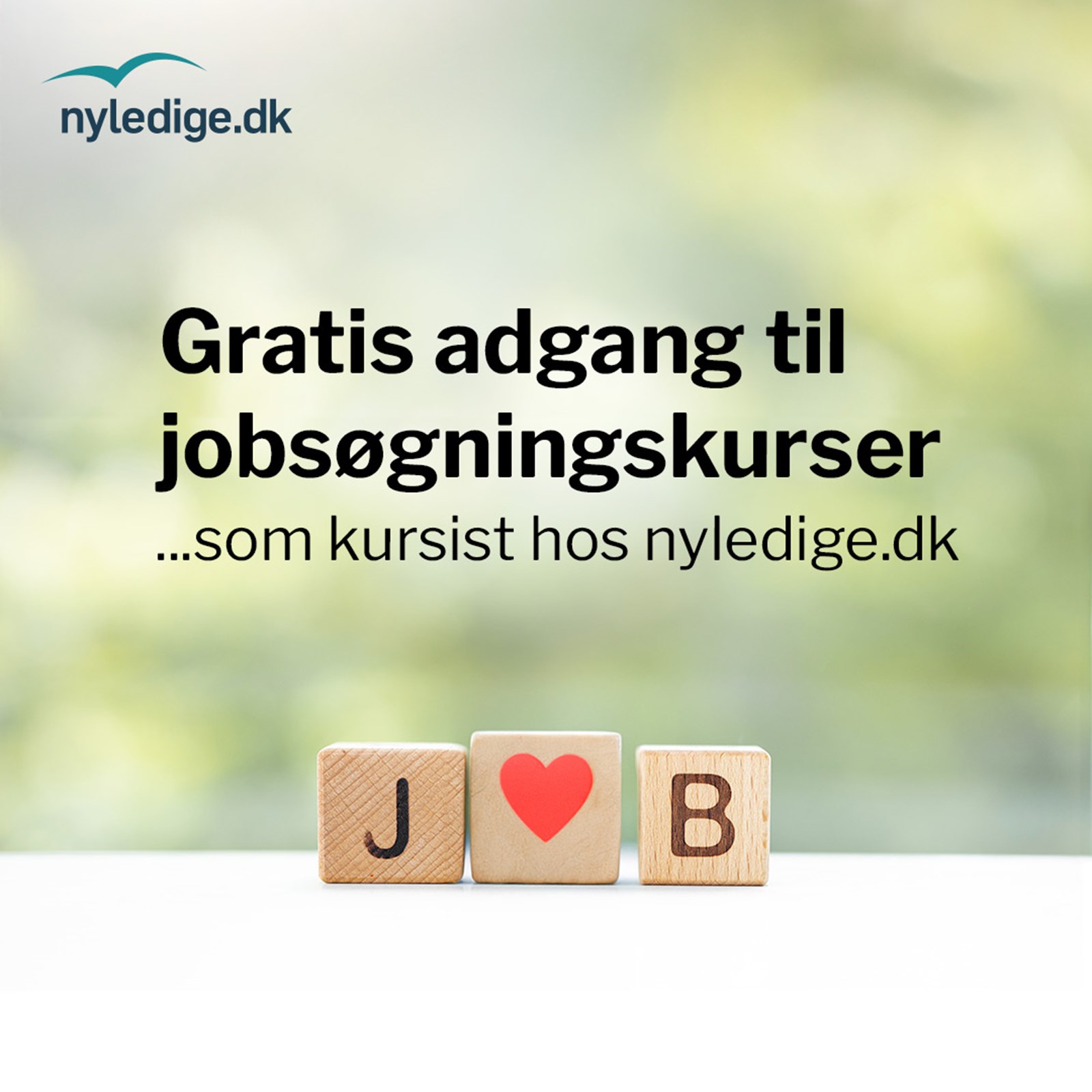 Jobsoegningskurser-1080px1.jpg