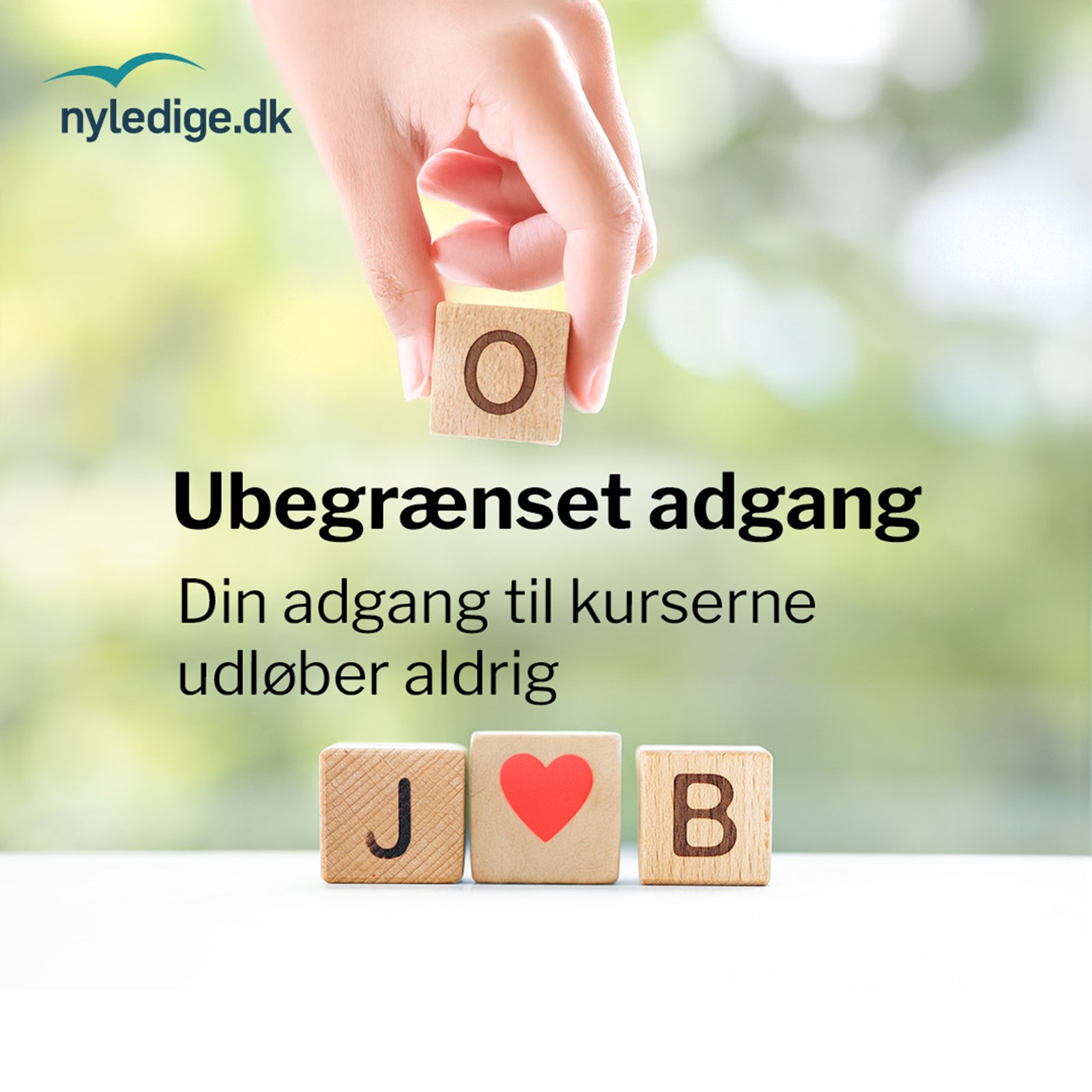 Jobsoegningskurser-1080px2.jpg