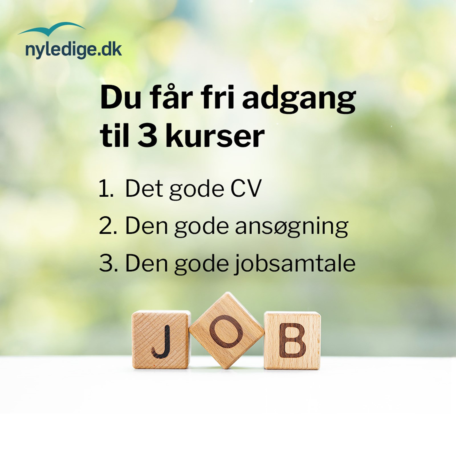 Jobsoegningskurser-1080px3.jpg