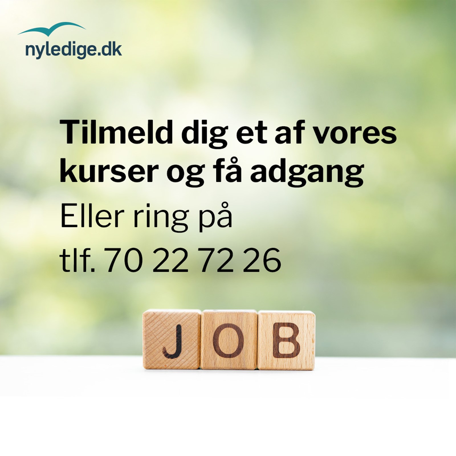 Jobsoegningskurser-1080px4.jpg